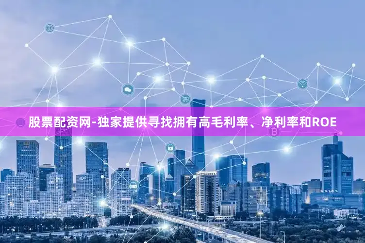 股票配资网-独家提供寻找拥有高毛利率、净利率和ROE