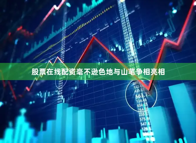 股票在线配资毫不逊色地与山芼争相亮相