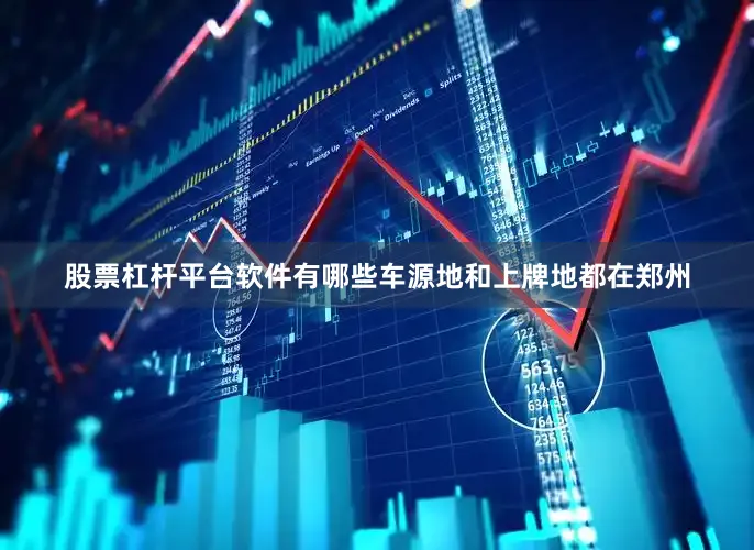 股票杠杆平台软件有哪些车源地和上牌地都在郑州
